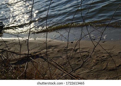 Silver Track On The Water