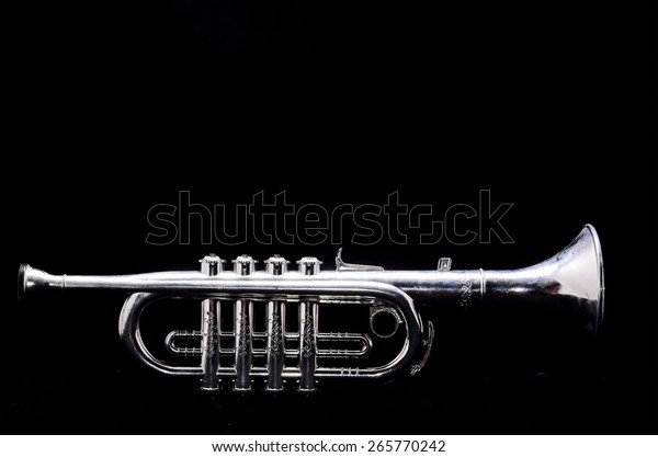 silver toy trumpet