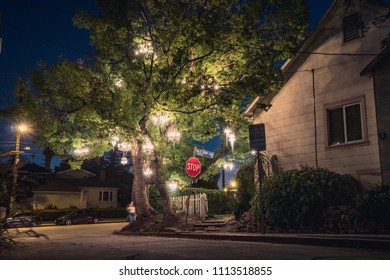 Silverlake, California / USA - July 21, 2017 - Night Photos Of The Silverlake Chandelier Tree House In Los Angeles, CA.