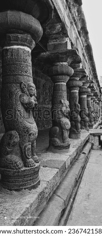 Simha pillers in Parameshwara vinnagaram called vaikuntha perumal temple. Build by 2nd Nandivarma pallava (731 CE–796 CE). Foto stock © 
