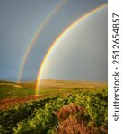 Simonside Hills Double Rainbow, which are covered with heather in late summer, they are part of Northumberland National Park near Rothbury, overlooking Coquetdale and the Cheviot Hills