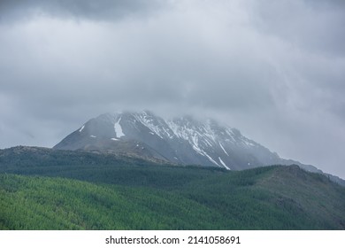 Simple atmospheric rainy landscape with sunlit green forest on mountainside and snowy mountain top among gray low clouds. Bleak overcast scenery with snow mountain peak under gloomy gray cloudy sky.