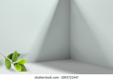 Simple background image  - perspective of corner of room with shadows from different angles delicate light pistachio color. Branch with fresh green leaves in corner of image.