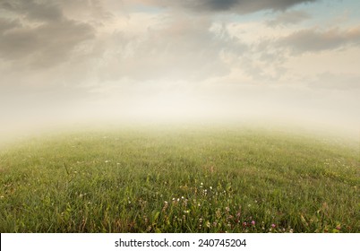 Simple Beautiful Surreal Landscape With Grass On Misty Background