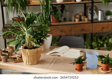 Simple beige table in spacious studio, readiness for transplanting of fresh and vivid plants.