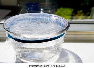 Simple Experiment Discovering The Water Cycle; Precipitation, Evaporation And Condensation In A Covered Bowl