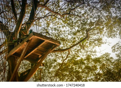 A Simple Flying Fox Ride