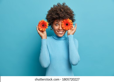 Simple happiness. Joyous young woman holds two orange gerberas, covers eyes and bites lips, looks in delight and satisfaction, wears poloneck, isolated on blue background. Lady with flowers. - Shutterstock ID 1805720227