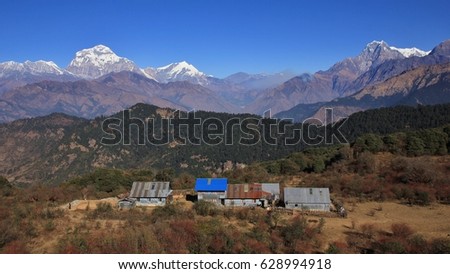 Simple hotels below Mohare Danda, Nepal. High mountains Dhaulagiri, Tukuche Peak and Nilgiri.