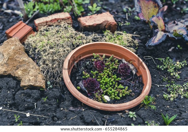 Simple Idea Garden Decoration Brown Pot Stock Photo Edit Now