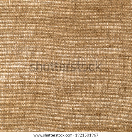 simple linen background: the reverse side of the primed canvas stretched over the frame, close, toning 