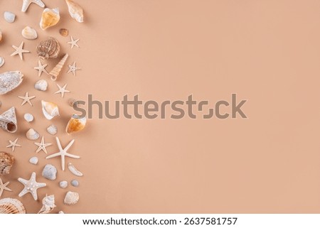 Simple minimal pattern background with seashells and starfish. Summer sale, holiday and travel background, border for sale, invitation, top view copy space