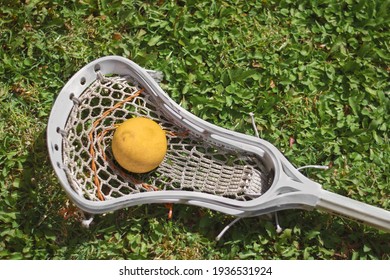 Simple Orange Lacrosse Ball On The Grass Of A Training Net