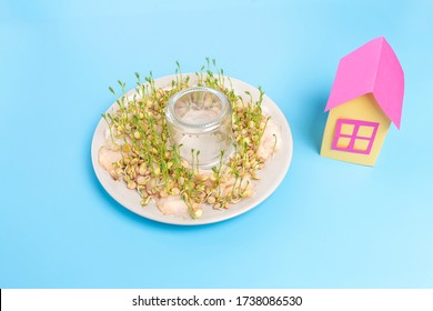 simple paper craft concept for kid   kindergarten  DIY  tutorial  step7  paper house and garden art project  place the glass plate upside down  wait few days