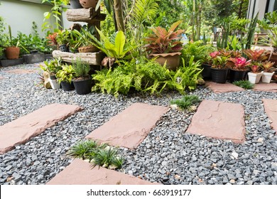 Simple Pathway In Home Garden Landscape