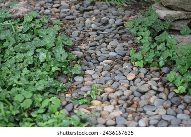 A simple plain stone pathway winding thru the garden.