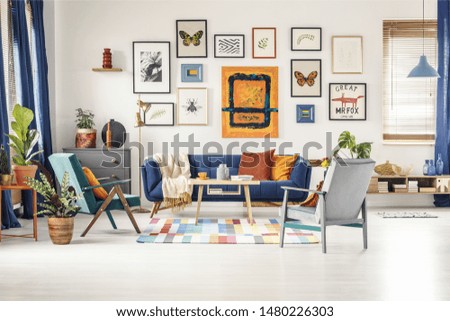 Simple posters gallery hanging on the wall in bright living room interior with blue sofa, two armchairs, fresh plants and wooden coffee table standing on colorful carpet