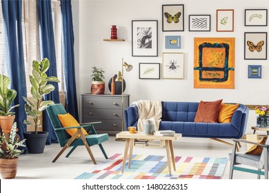 Simple Posters Hanging On The Wall In Bright Living Room Interior With Blue Curtains, Coffee Table Placed On Colorful Carpet, Green Armchair And Navy Couch