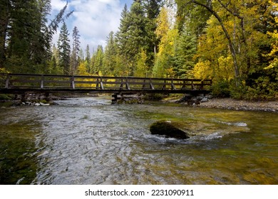 Simple, rustic wood bridge over Kintla Creek in Glacier National Park at Kintla Lake area creates tranquil forest and water scenic in Montana - Shutterstock ID 2231090911