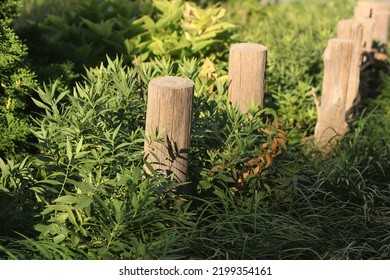 Simple Rustic Wooden Fence Post Standing Stock Photo 2199354161   Simple Rustic Wooden Fence Post 260nw 2199354161 