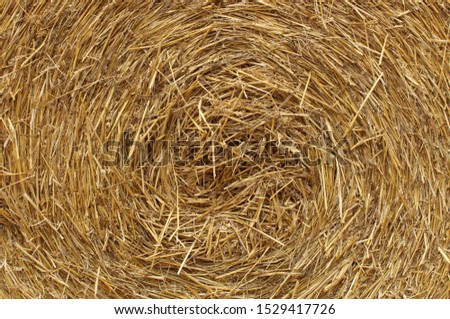 A simple straw background , swirling strw from a sideshot of a large round bale