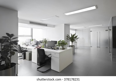 Simple And Stylish Office Environment
