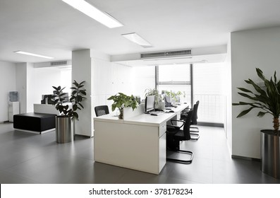 Simple And Stylish Office Environment
