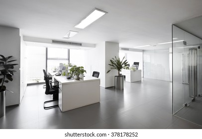 Simple And Stylish Office Environment
