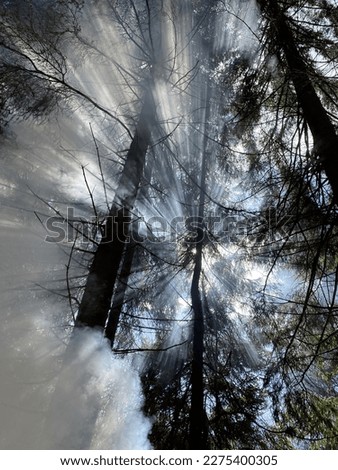 Similar – Image, Stock Photo in the fog Environment