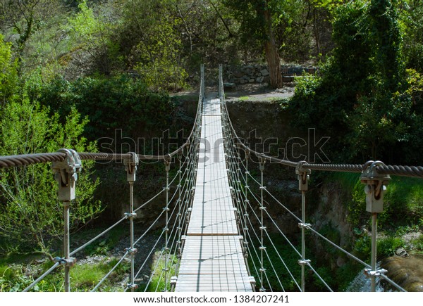 Simple suspension bridge\
in the nature