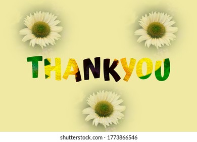 Simple thankyou card with three daisy like flower heads and bright lettering