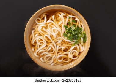 Simple udon image (thin udon)