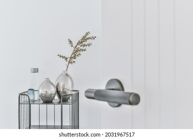 Simple White Door With Metallic Handle And Home Plant In Vase. High Quality Photo