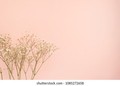 背景 シンプル ピンク Stock Photos Images Photography Shutterstock