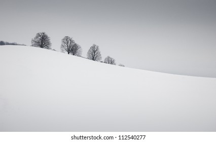 simple winter landscape