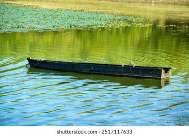 A simple wooden boat floats on the calm waters of Lake Kerkini, Greece, with green reflections from surrounding vegetation on the surface. - Powered by Shutterstock