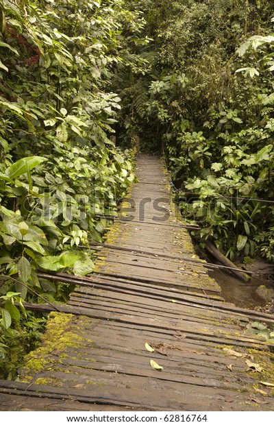 simple wooden bridge in amazonian forestry color\
way run building colour brown tourist water tree vacation danger\
vegetation nature outdoor waterfall hike jungle texture outside\
landscape forest falls