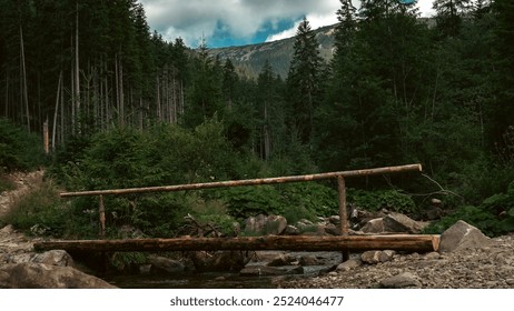 A simple wooden footbridge spans a rocky mountain stream in the heart of a dense forest. The natural setting emphasizes the bridge's rustic charm. - Powered by Shutterstock