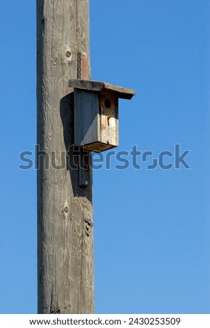 a simple wooden nesting box hangs on a wooden telephone pole, blue sky