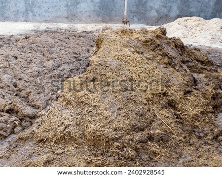 A simple yet ingenious combination of clay, water, and straw.
This photo captures the simple yet ingenious combination of clay, water, and straw that has been used in traditional Persian architecture.