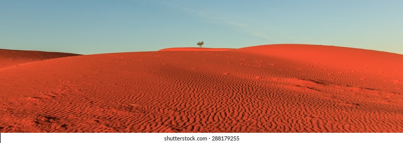 Simpson Desert Australia