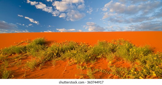 Simpson Desert Dunes,