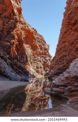 Simpsons Gap gorge with the water source located in West Macdonnell Ranges, Northern Territory, Australia