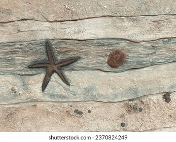 simulation fossils in earthen layers