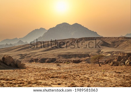 sinai mountains. mountains Sharm el Sheikh at the southern tip of the Sinai Peninsula. Desert with mountains. Sinai, Egypt. Panorama Sand desert Sinai, Egypt