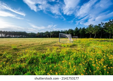 Sinan-gun, Jeollanam-do, South Korea - June 4, 2021: Summer and afternoon view of golden-wave(Coreopsis tinctoria) flowers with a goalpost on playground at Jeungdo Island