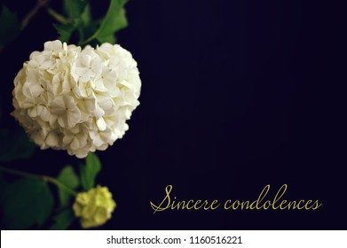 Sincere Condolences Text Written On Condolence Card