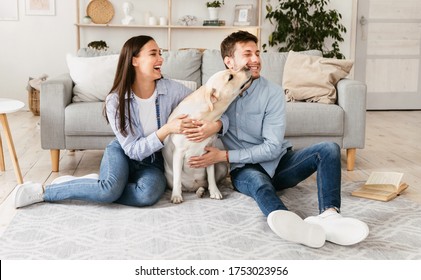 Sincere Emotions. Young loving family playing with dog sitting on the floor, labrador sniffing his owner's face - Powered by Shutterstock