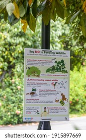 Singapore 13th Feb 2021: The Warning Board Set By Singapore's National Parks Board In Pasir Ris Park To Remind Visitors To Follow The Rule, Say NO To Feeding Wildlife. 