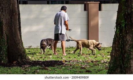 SINGAPORE - 17 JUL 2021. Dog Walking Is Good For The Owner As He Gets Exercise To Keep Fit. Owners Who Need Rehabilitation Or Are Anxious Due To Covid-19's Social Restrictions Will Get De-stressed. 